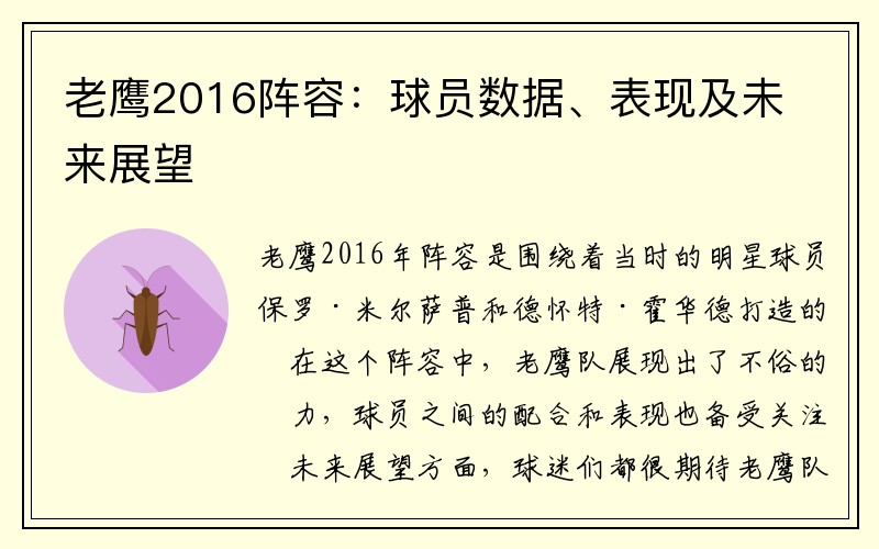 老鹰2016阵容：球员数据、表现及未来展望