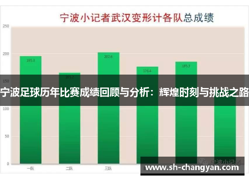 宁波足球历年比赛成绩回顾与分析：辉煌时刻与挑战之路